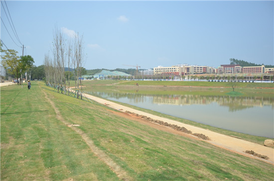 瓷都再增一顆璀璨“明珠”，景南風光更添風情