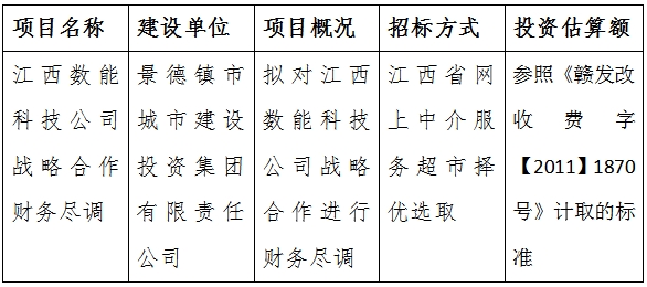 江西數(shù)能科技公司戰(zhàn)略合作財務盡調(diào)計劃公告
