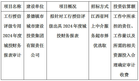 工行授信評級專用2024年度城投財務(wù)報表審計報告出具單位選取計劃公告